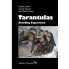 Tarantulas