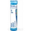 Kalium Iodatum gra.1 x 4 g 9CH
