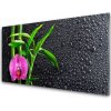 Obraz plexi Bambus kvet kvapky 100x50 cm
