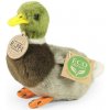 Rappa Plyšová kačica divá 13 cm Eco-Friendly