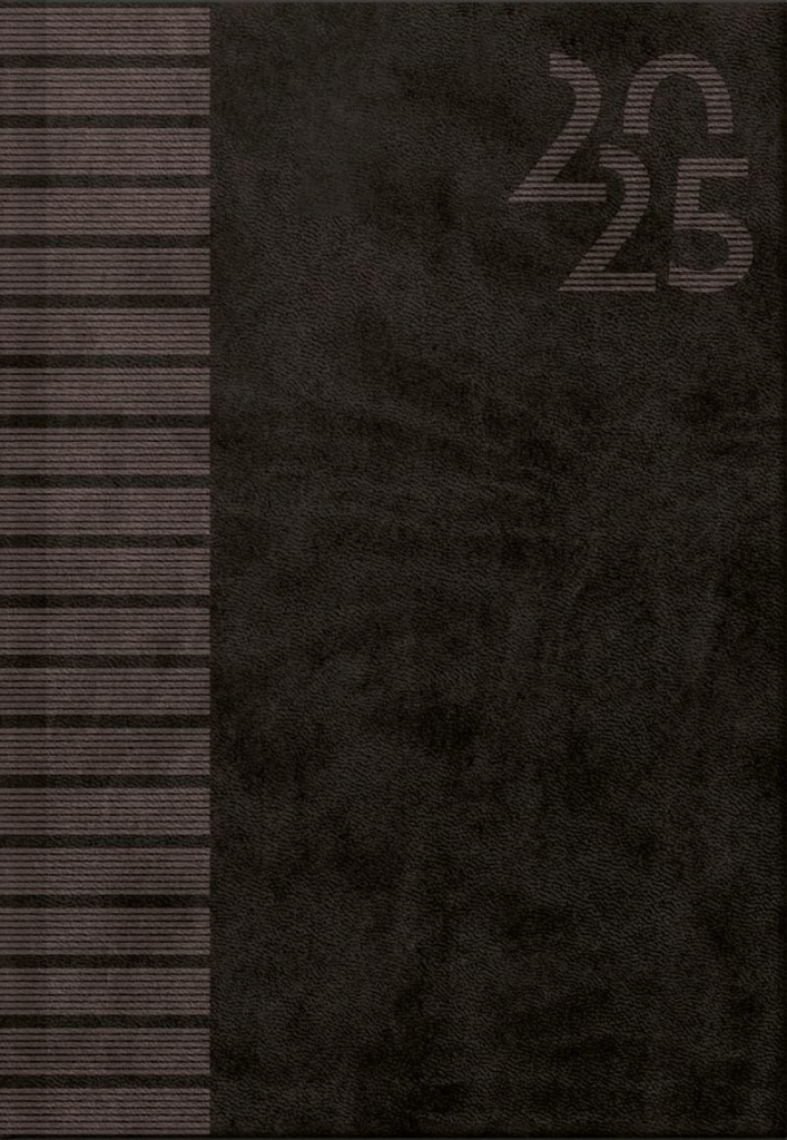 Vivella Black A5 denní 2025