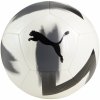 Lopta PUMA PUMA CAGE BALL 08434603 – Biela