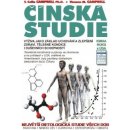 Čínská studie