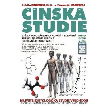 Čínská studie