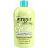 Treaclemoon One Ginger Morning sprchový a kúpeľový gél 500 ml