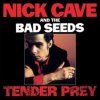 NICK CAVE & THE BAD SEEDS - TENDER PREY (1CDD)