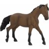 PAPO PAPO Anglický Thouroughbred