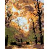 Diamondi Diamantové maľovanie - JESENNÉ STROMY Rámovanie: vypnuté plátno na rám, Rozmer: 40x50 cm