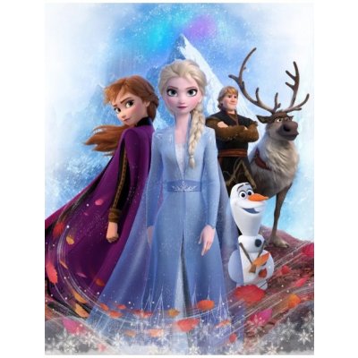 BrandMac Veľká dievčenská fleecová deka Ľadové kráľovstvo Frozen Elsa a Anna