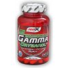 AMIX Gama oryzanol 200 mg 120 kapsúl