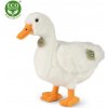 Eco-Friendly kačica biela 33 cm
