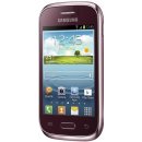 Samsung S6310 Galaxy Young