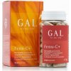 Gal Liposomalný vitamín C - FENU komplex 90ks