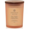 Chesapeake Bay Love + Passion vonná sviečka 250 g