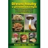 Dřevní houby v přírodě a kuchyni