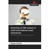 Selecting an ERP system in small and medium-sized enterprises (Roman Strauß)(Brožovaná)