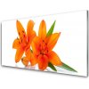 Nástenný panel Oranžové kvety 100x50 cm