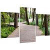 Cesta v lese - obraz (Obraz 90x60cm)