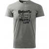 Harry - Hogwarts wasn’t hiring, so I teach Muggles instead - Klasické pánske tričko vyššej gramáže - 3XL ( Tmavosivý melír )