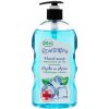 Tekuté mydlo antibakteriálne aloe vera Naturaphy 650ml 5908311417263