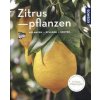 Zitruspflanzen (Mein Garten) (Dominik Große Holtforth)(Brožovaná)