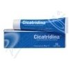 CICATRIDINA mast 30g