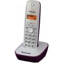 Panasonic KX-TG1611