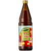 Dennree Bio Jablčný ocot 750 ml