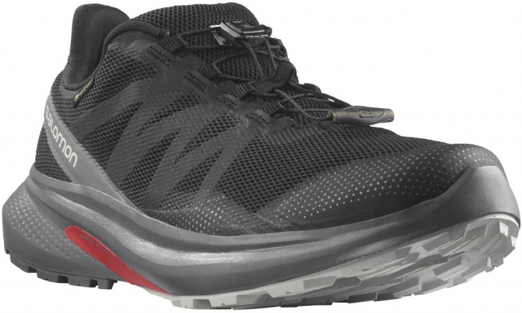 Salomon Hypulse GTX M L41595900 quiet shade lunar rock black