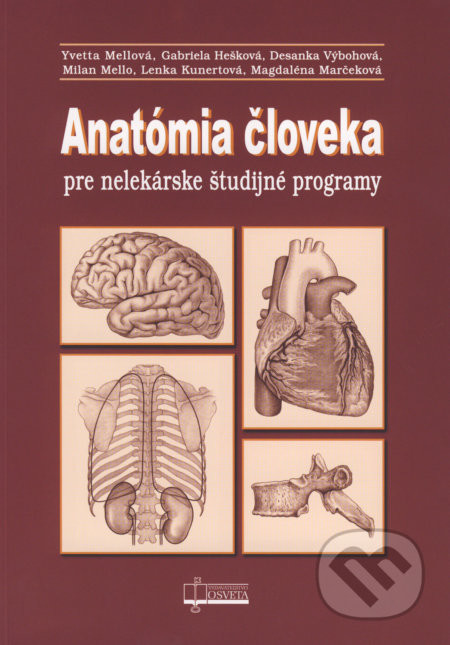 Anatómia človeka pre nelekárske študijné programy - Yvetta Mellová, Gabriela Hešková, Desanka Výbohová, Milan Mello, Lenka Kunertová, Magdaléna Marčeková