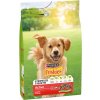 Purina Friskies Adult Dog Active hovädzie - výhodné balenie: 3 x 3 kg