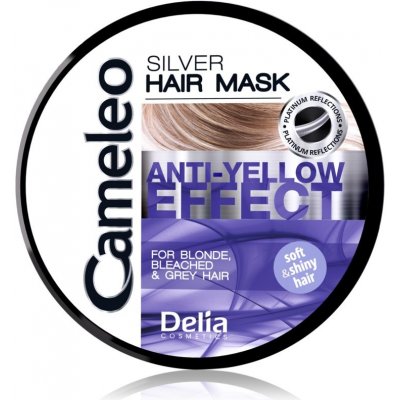 Delia Cosmetics Cameleo Silver maska na vlasy neutralizujúci žlté tóny 200 ml