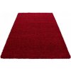 Najkoberce Shaggy Life červený 300x400 cm