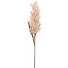 Umelá rastlina Tráva Pampas, 88 cm, ružová, 1120803