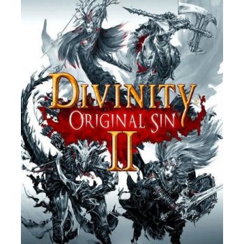 Divinity Original Sin 2