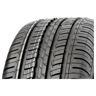 Windforce Catchgre GP100 205/55 R16 91V