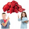 LYOFILIZOVANÁ JAHODA LYOFILIZOVANÁ NÁPLASŤ 1KG POĽSKO CHRUMKAVÁ