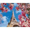Diamantové maľovanie Diamondi - PARÍŽ A MAGNÓLIE, 40x50 cm, vypnuté plátno na rám (604713B)