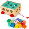 Dřevěný vozík s třídičem a kostkami EcoToys