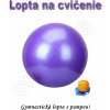 Gymnastická lopta - GYM BALL 65cm s pumpou fialová