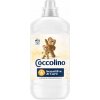 Coccolino aviváž Cash & Almond 51 PD 1,275 l