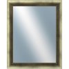 DANTIK - Zrkadlo v rámu, rozmer s rámom 40x50 cm z lišty Eternity Au ľadvinka (3098)