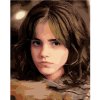 Portrét Hermiona s prísnym pohľadom (Harry Potter), 40×50 cm, vypnuté plátno na rám 6067031