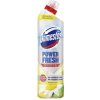 Domestos Power Spring Fresh antibakteriálny WC čistič 700 ml