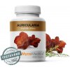 MycoMedica Auricularia extrakt 90 kapsúl