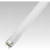 NBB LT 10W 4000K G13