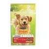 Friskies Active s hovädzím 10 kg