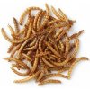 JK ANIMALS Dried Mealworm Sušené múčne červy 80 500 ml