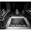 Výrobce neuveden Michael W. Pospíšil - PARIS, PRAHA, etc ...