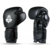 Boxerské rukavice DBX BUSHIDO B-ProFight